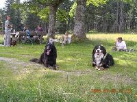 Training mit Hund Training mit Hund