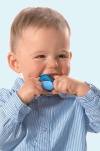 Die ersten Zähne: Der Mundraum von Babys und Kleinkindern benötigt von Anfang an viel Aufmerksamkeit Die ersten Zähne: Der Mundraum von Babys und Kleinkindern benötigt von Anfang an viel Aufmerksamkeit