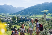 Blick auf Radstadt (Radstadt)