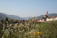 Blick auf Weißenkirchen in der Wachau (100 % Wachau)