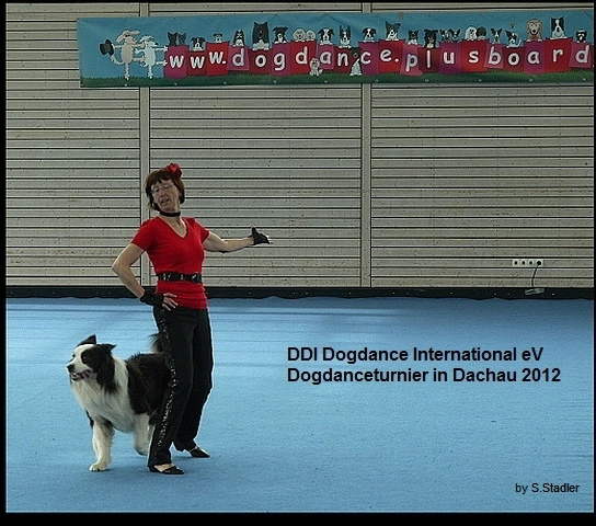 DDI DOgdanceturnier in Dachau DDI DOgdanceturnier in Dachau