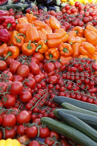 Fruchtgemüse aus Holland Fruchtgemüse aus Holland