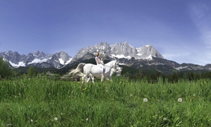 Bei einem gemütlichen Ausritt auf einem Lipizzaner kann das beeindruckende Panorama des Wilden Kaise