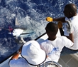 Marlin Masters Marlin Masters