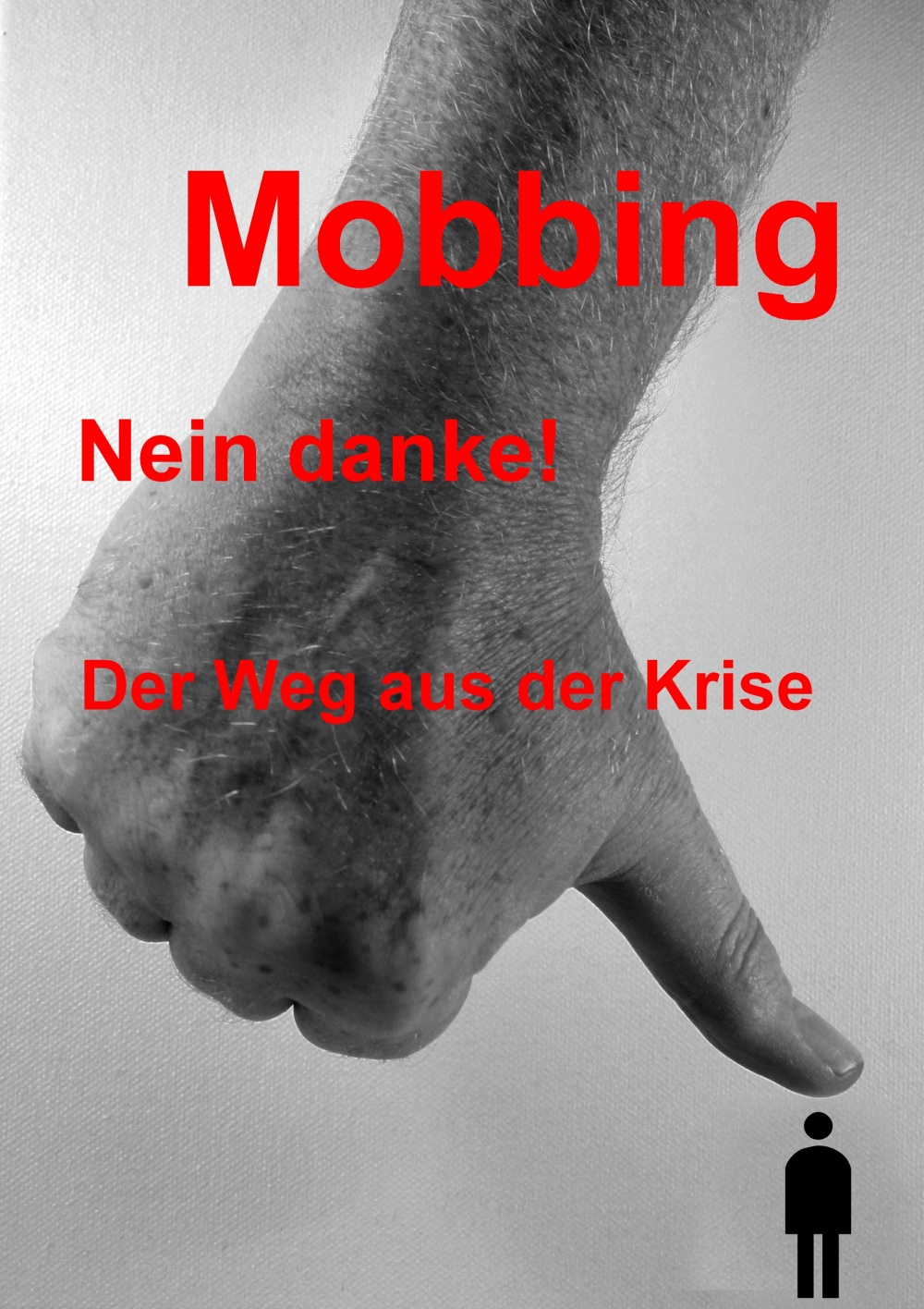 Mobbing - nein Danke! Ebook