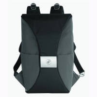 DailySafe B100