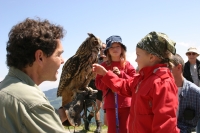 Greivogelwarte (© Granegger Nikanor - Raurisertal)