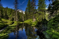 Österreichischer Urwald - © Jürgen Waffenschmidt (Raurisertal) Österreichischer Urwald - © Jürgen Waffenschmidt (Raurisertal)