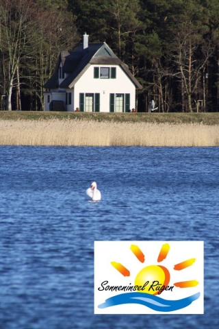 Reethaus Deichgraf in erster Reihe auf dem Deich Seebad Breege Juliusruh