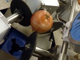 Neue Schälanlage bei Düpmann Gemüseprodukte. Neue Schälanlage bei Düpmann Gemüseprodukte.
