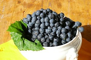 Leckere Biotrauben aus der Pfalz
