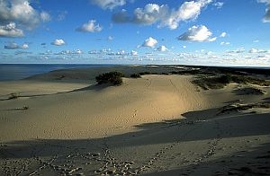 Kurische Nehrung