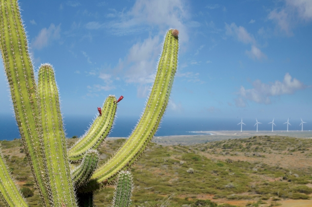 Aruba für mehr Nachhaltigkeit - Ausbau der lokalen Stromgewinnung durch Wind- und Solar-Anlagen Aruba für mehr Nachhaltigkeit - Ausbau der lokalen Stromgewinnung durch Wind- und Solar-Anlagen