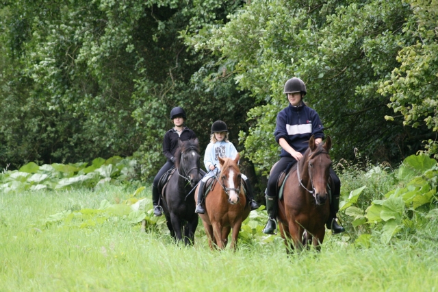 Ausreiten in Cumbria - südlich von Schottland Ausreiten in Cumbria - südlich von Schottland