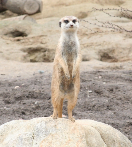 Gerade ist jemand auf Sie aufmerksam geworden!