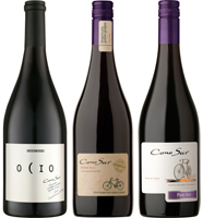 Ocio, Organic und Bicycle: Pinot Noirs des Spätburgunder-Spezialisten Cono Sur aus Chile Ocio, Organic und Bicycle: Pinot Noirs des Spätburgunder-Spezialisten Cono Sur aus Chile