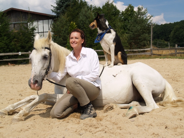 Ein unzertrennliches Team: Mensch, Pferd und Hund