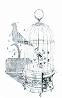 Literarische Einfälle über einen Vogelsingautomaten Literarische Einfälle über einen Vogelsingautomaten