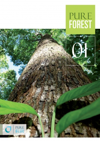 Waldfonds Pure Forest bietet schnelle Erträge aus bestehenden Edelholzbeständen Waldfonds Pure Forest bietet schnelle Erträge aus bestehenden Edelholzbeständen