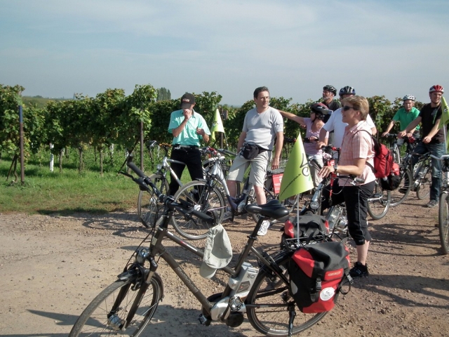 Der Spätsommer mit der Weinlese ist eine ideale Zeit, die Deutsche Weinstraße genussvoll beim Radel Der Spätsommer mit der Weinlese ist eine ideale Zeit, die Deutsche Weinstraße genussvoll beim Radel