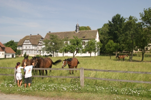 Pilgern in Lippe z. B. zum Kloster Falkenhagen