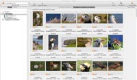 NATURBILDPORTAL-Suchergebnis i i-picturemaxx-Anwendung