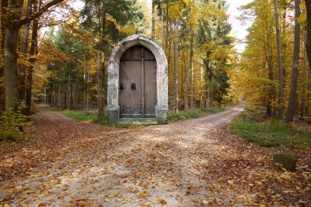 Bifurkation in deiner Welt Bifurkation in deiner Welt