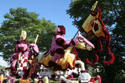 Elsass_Blumenparade_Sélestat ©Ville de Selestat