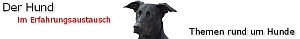 Der Hund im Erfahrungsaustausch Der Hund im Erfahrungsaustausch