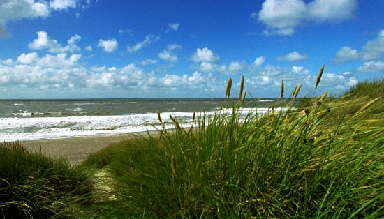 Die Themen Nachhaltigkeit und Umweltschutz spielen für die Gemeinde der Nordseeinsel Juist eine groß Die Themen Nachhaltigkeit und Umweltschutz spielen für die Gemeinde der Nordseeinsel Juist eine groß