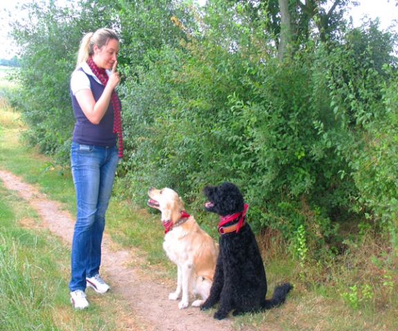 Sie macht freundliche Hunde: Trainerin Kirstin Müller betreibt in Wegberg am Niederrhein eine mobile Sie macht freundliche Hunde: Trainerin Kirstin Müller betreibt in Wegberg am Niederrhein eine mobile
