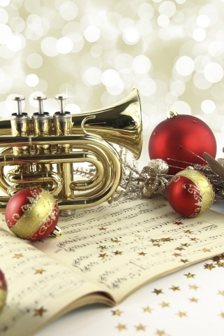 Weihnachtliches im Dekorationsartikel Großhandel
