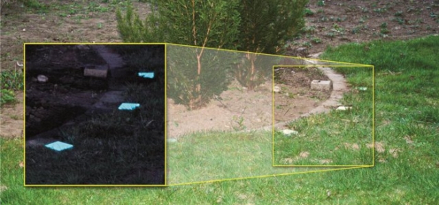 Pflastersteine im Garten, aufgenommen mit handelsüblicher Spiegelreflexkamera Pflastersteine im Garten, aufgenommen mit handelsüblicher Spiegelreflexkamera