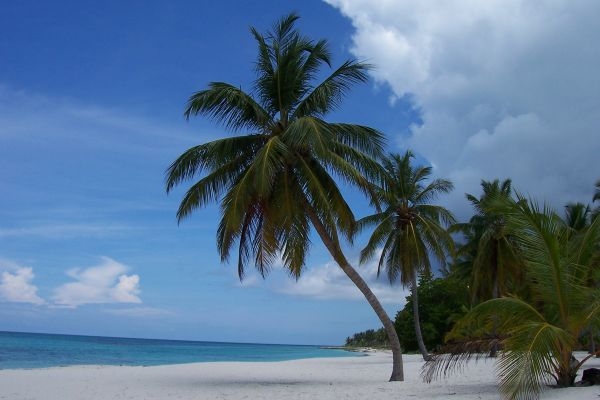 Bester Strand 2012