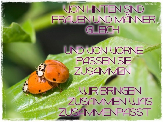 Passen Frauen und Männer zusammen? Passen Frauen und Männer zusammen?