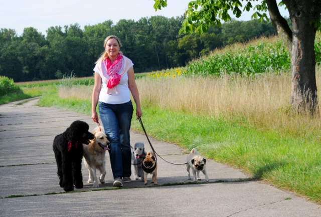 Leinenführig ohne Leckerlis: Für die Wegberger Hundetrainerin Kirstin Müller ist Belohnung in Form v Leinenführig ohne Leckerlis: Für die Wegberger Hundetrainerin Kirstin Müller ist Belohnung in Form v