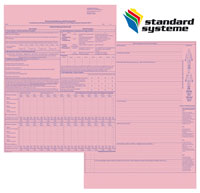Formular Initiales Schmerzassessment von Standard Systeme Formular Initiales Schmerzassessment von Standard Systeme