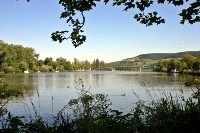Ufer von Veitshöchheim Ufer von Veitshöchheim