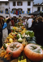Kürbisfest in Venzone Kürbisfest in Venzone