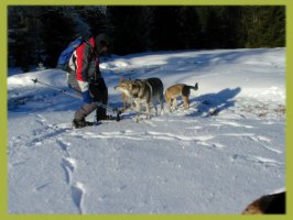 Winterwanderung mit Hund im Bayerischen Wald Winterwanderung mit Hund im Bayerischen Wald
