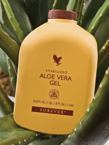 Aloe Gel - das wohl bekannteste Produkt aus der Forever Living Familie Aloe Gel - das wohl bekannteste Produkt aus der Forever Living Familie