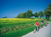 Radler an einem blühenden Rapsfeld © TMV_Werk 3 (Mecklenburg-Vorpommern) Radler an einem blühenden Rapsfeld © TMV_Werk 3 (Mecklenburg-Vorpommern)