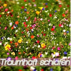 Traumhaft schlafen - durch fachkundige und individuelle Anpassung zum körperangepassten Liegen Traumhaft schlafen - durch fachkundige und individuelle Anpassung zum körperangepassten Liegen