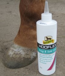 Produkttest auf Mit-Pferden-reisen.de: Hooflex Frog and Sole Care