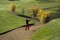 Golfer Golfer