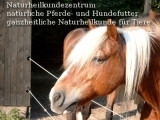 Naturheilkundezentrum,Tel: 06597/90 14 51 Naturheilkundezentrum,Tel: 06597/90 14 51