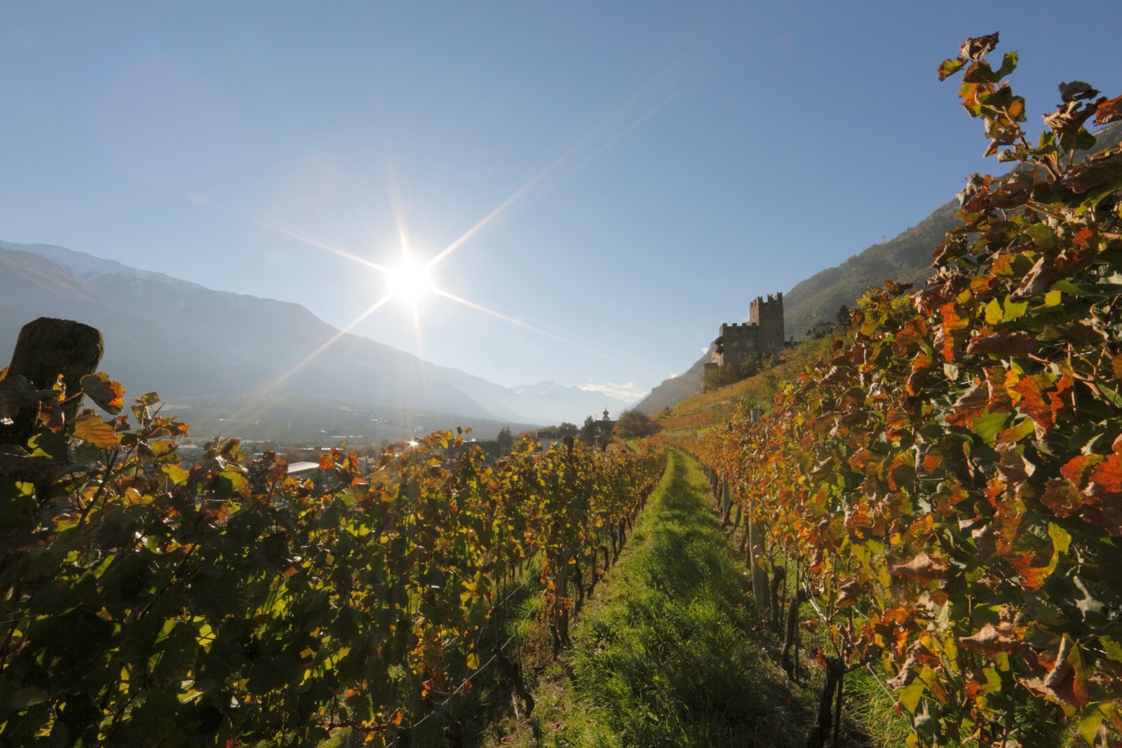 Der goldene Herbst in Naturns - Frieder Blickle Der goldene Herbst in Naturns - Frieder Blickle