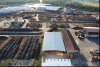 Holzindustrie Torgau
