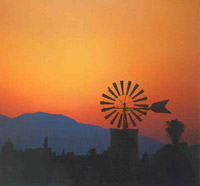 Lernen und Entspannung bieten eduCentives auf Mallorca