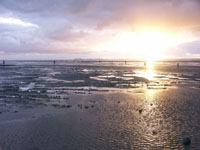 Zeit zu zweit: Herbst-Wochenende an der Nordsee © Kamp Hotels Zeit zu zweit: Herbst-Wochenende an der Nordsee © Kamp Hotels